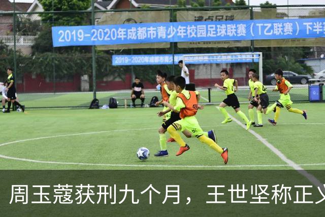 周玉蔻获刑九个月，王世坚称正义虽迟但终将到来
